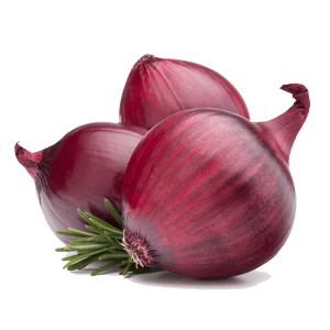 Onion/Pyaz/प्याज