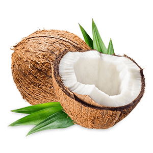 Coconut /Nariyal/नारियल