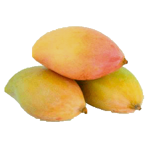Mango Totapuri/Totapari Aam/तोतापरी आम