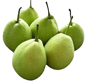 Pear Nakh/नाशपाती(नख)