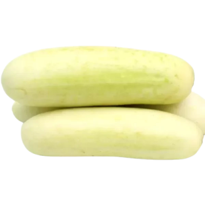 Cucumber (White)/Kheera(Safed)/खीरा (सफ़ेद)