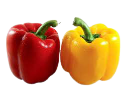 Red-Yellow Bell Pepper/Shimala Mirch(Red-Yellow)/शिमला मिर्च(लाल-पीली)