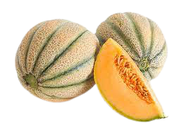 Musk Melon (Striped)/Kharbooja(Striped)/खरबूजा (धारीदार)