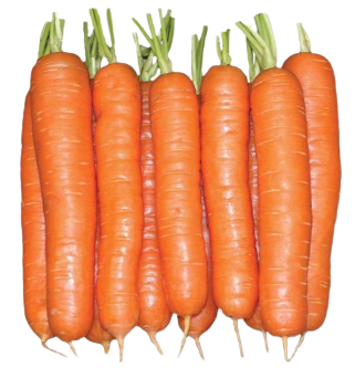 Carrot (Hybrid)/Gajar (Hybrid)/गाजर (हाइब्रिड)