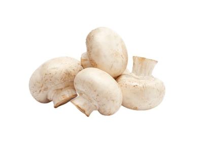 Mushroom/मशरूम